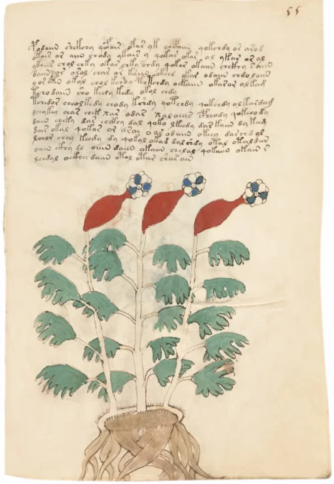 Voynich Manuscript. The complete Edition. All plates.