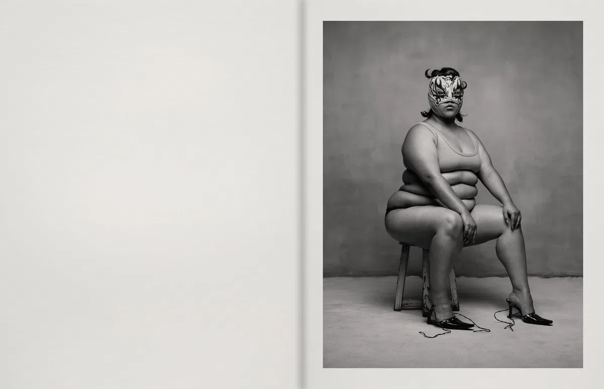 Pieter Henket: Birds of Mexico City