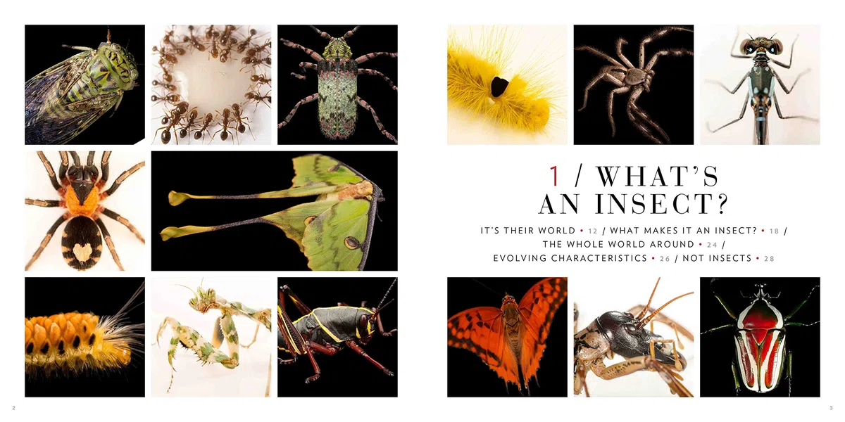 National Geographic Photo Ark Insects: Butterflies, Bees, and Kindred Creatures