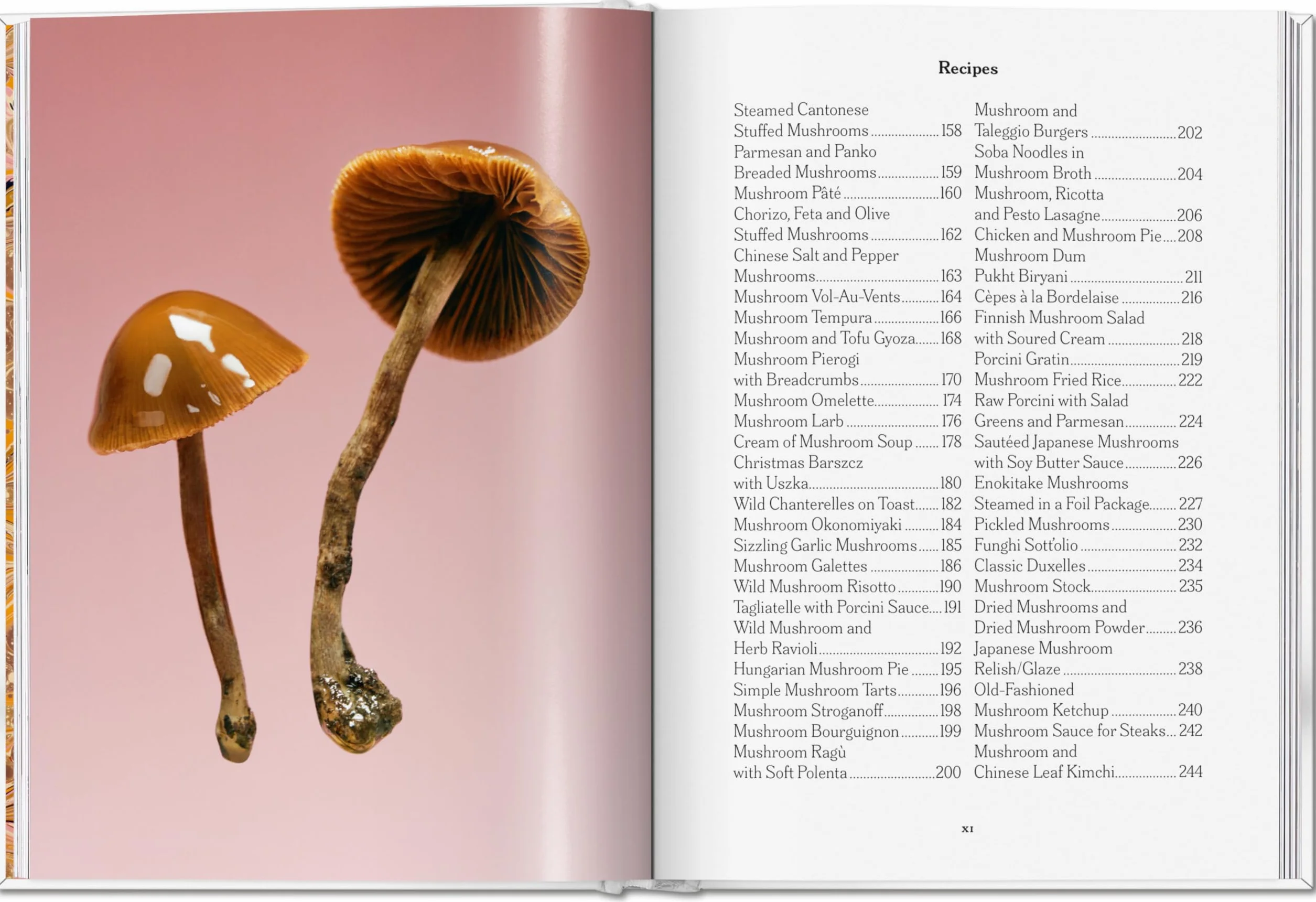 The Gourmand's Mushroom. A Collection of Stories & Recipes