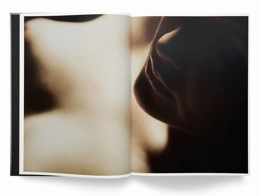 David Lynch, Digital Nudes