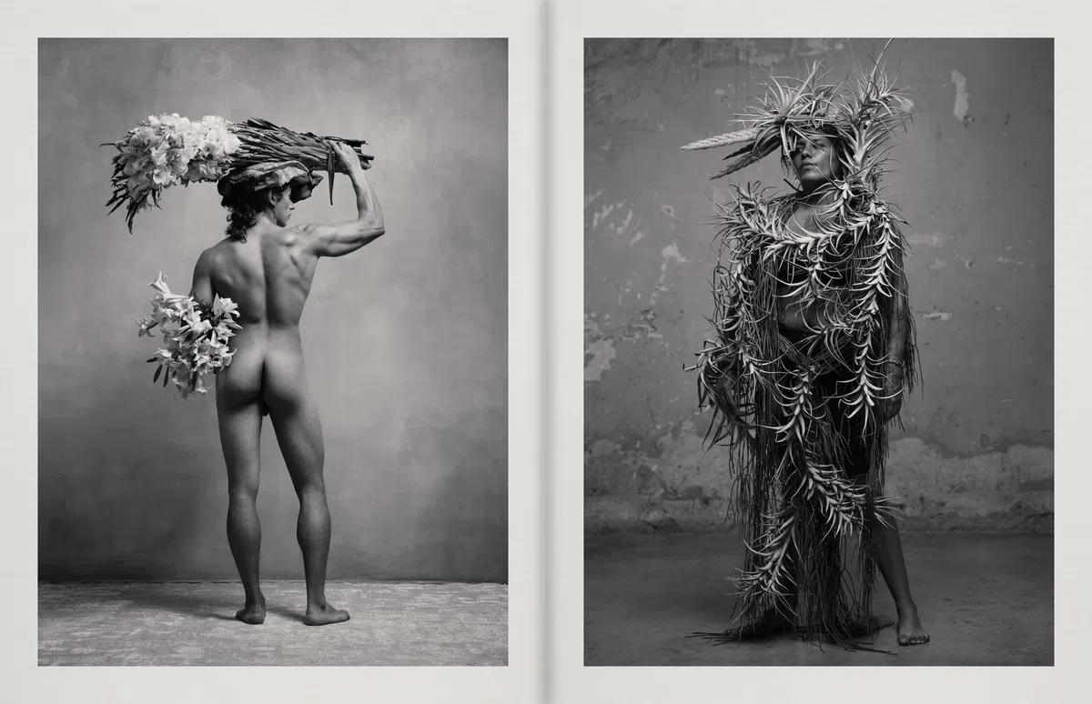 Pieter Henket: Birds of Mexico City