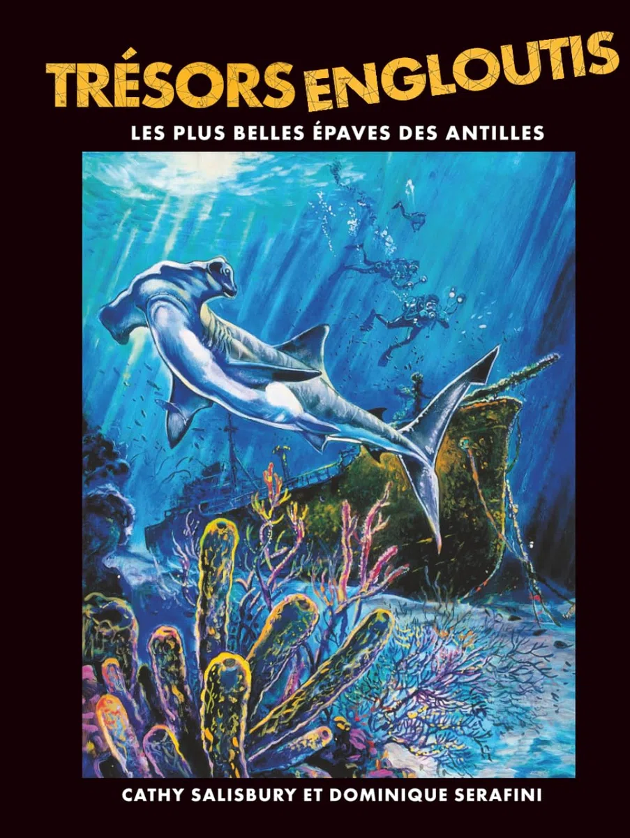 Trésors Engloutis: Les plus belles épaves des Antilles