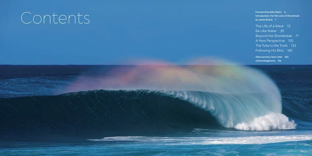 Clark Little: The Art of Waves