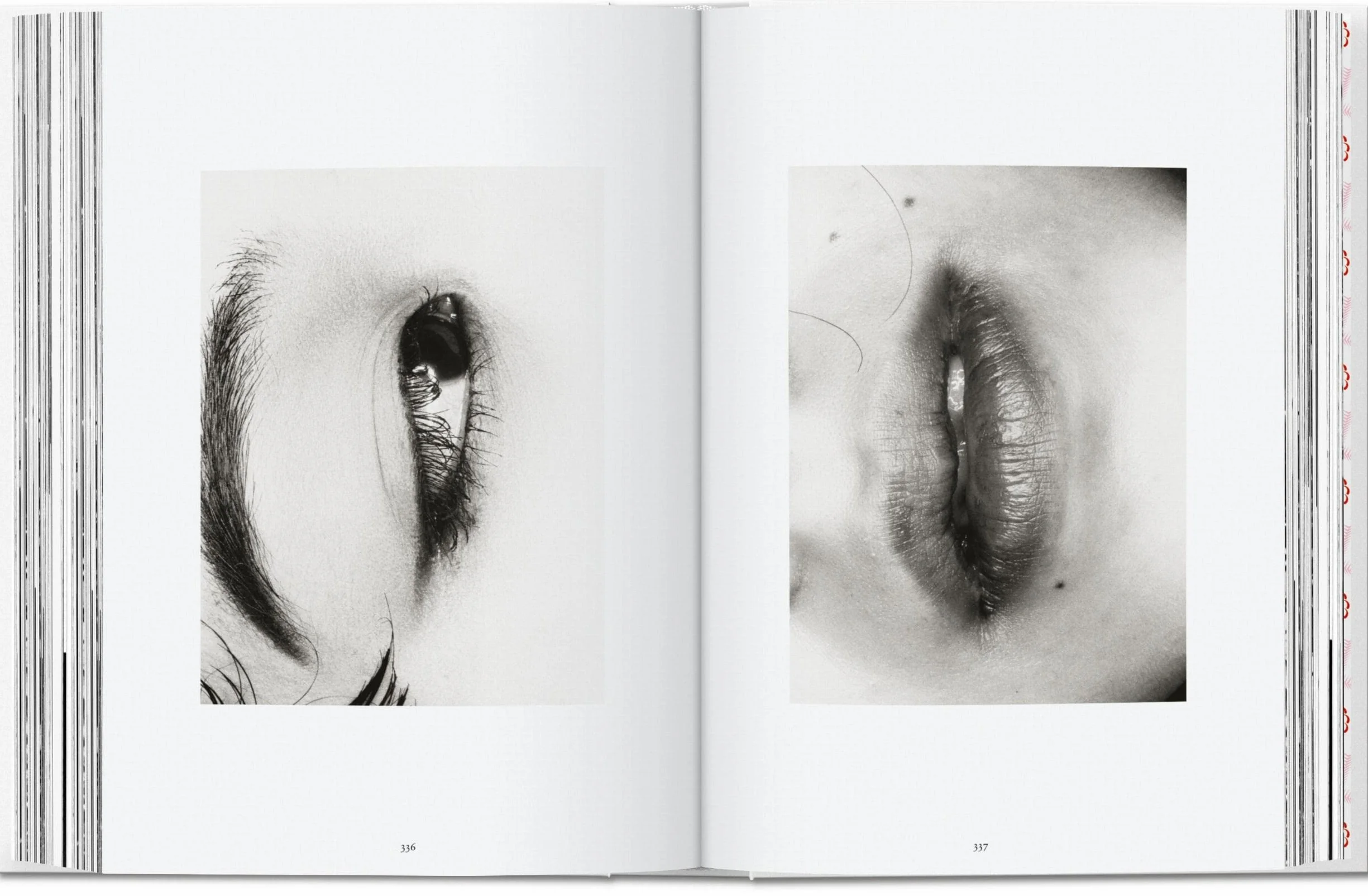 Araki. 45th Ed.