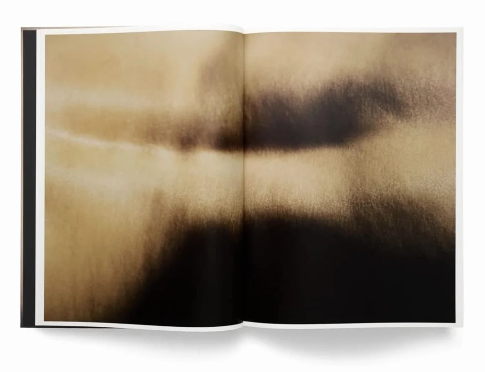 David Lynch, Digital Nudes