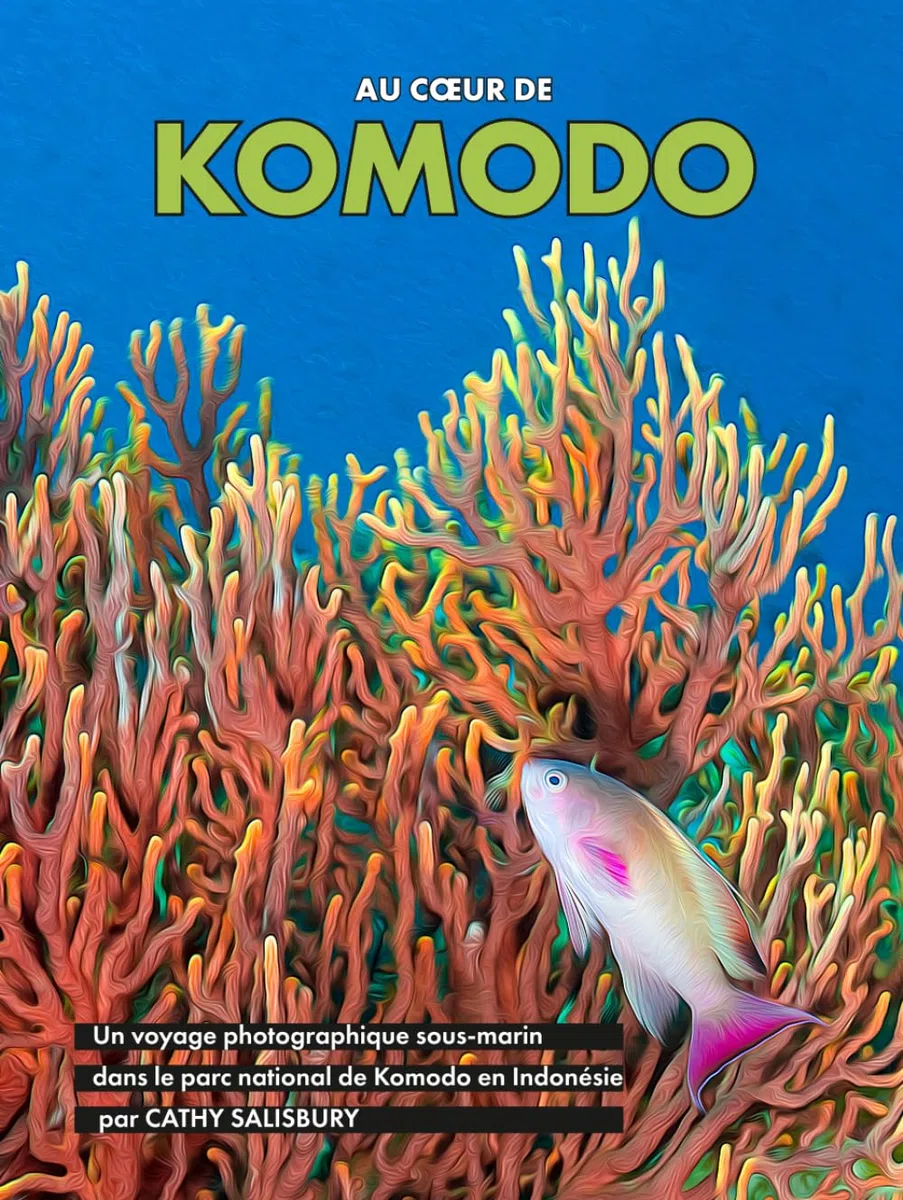 Au cœur de KOMODO: Un voyage photographique sous-marin dans le parc national de Komodo en Indonésie