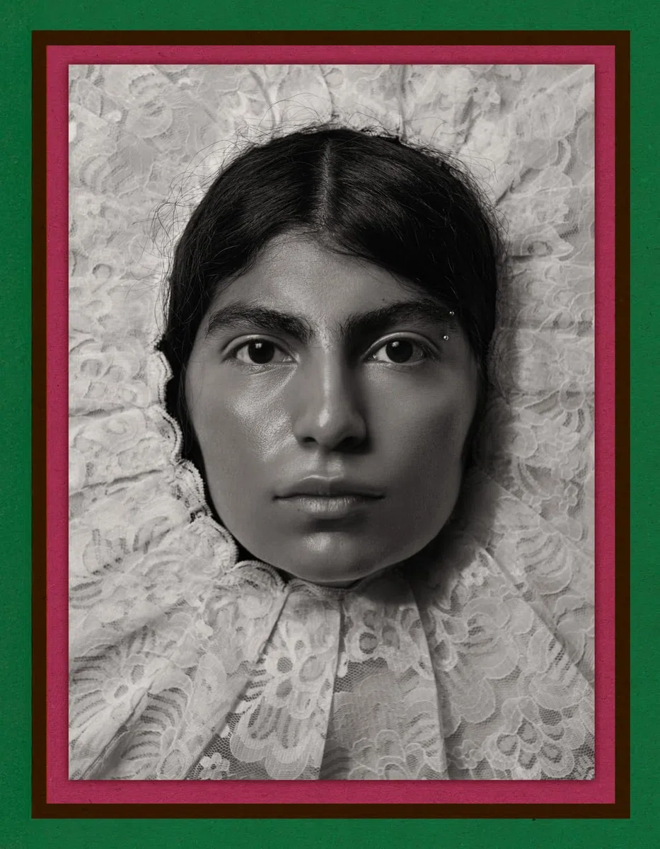 Pieter Henket: Birds of Mexico City