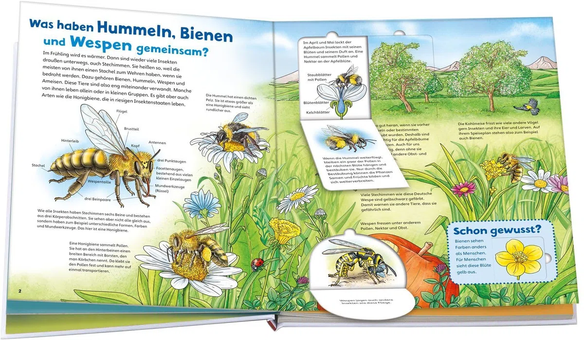 WAS IST WAS Junior Band 34 Bienen, Wespen, Hummeln