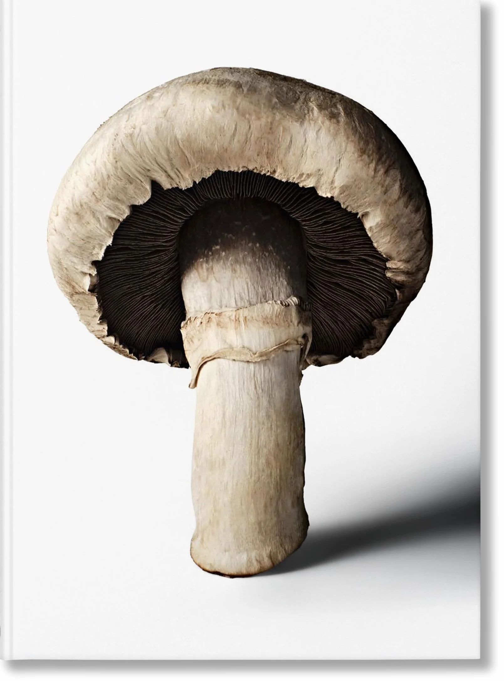 The Gourmand's Mushroom. A Collection of Stories & Recipes