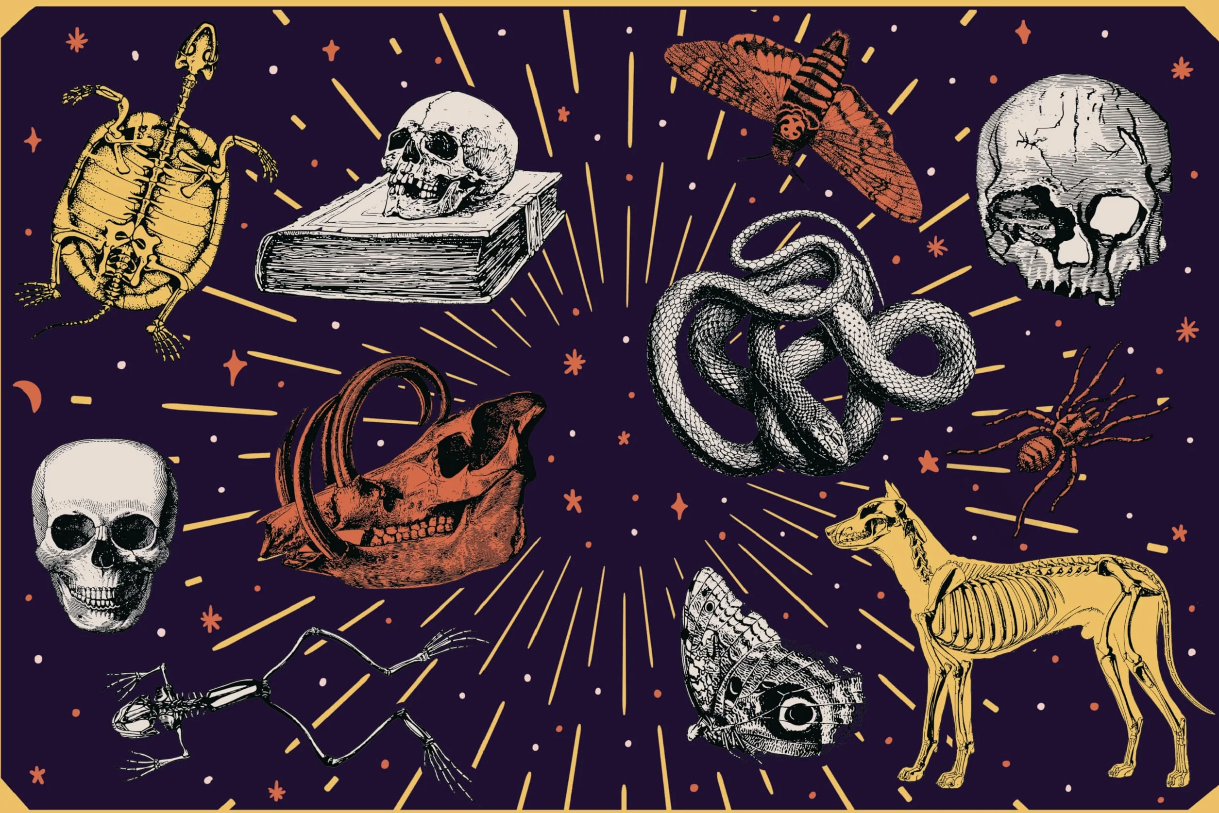 Stickertopium: Over 400 Stunning Stickers