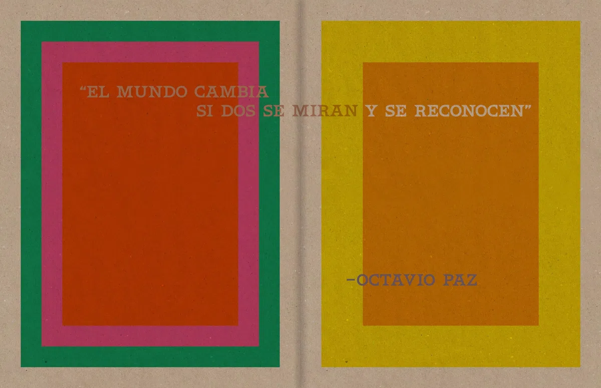 Pieter Henket: Birds of Mexico City