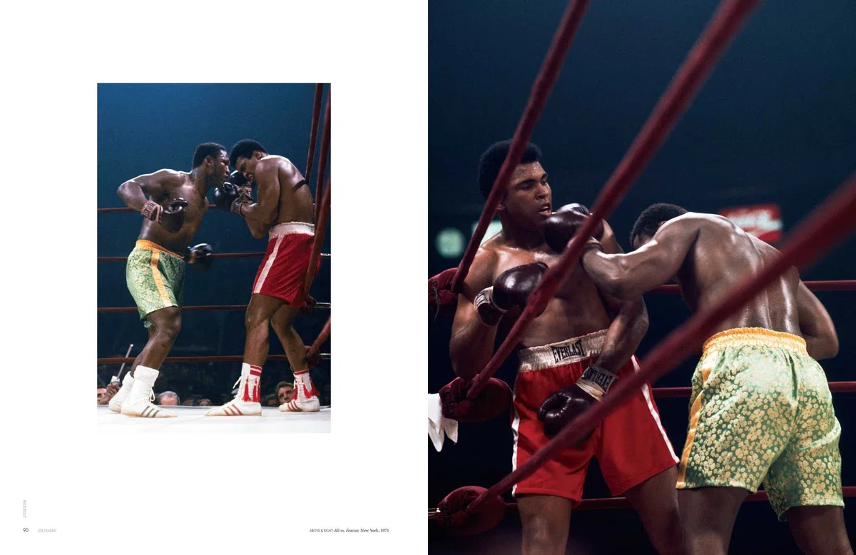 Knockout: The Art of Boxing