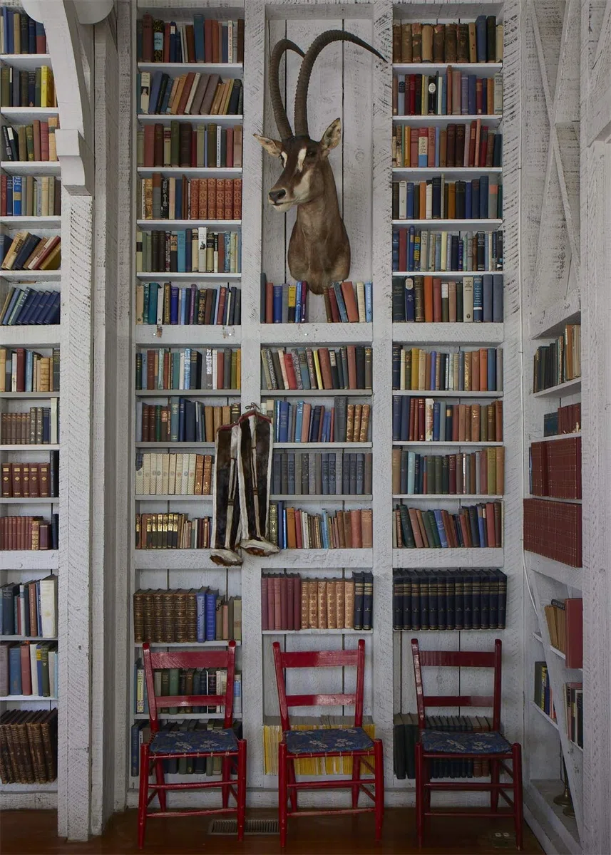 Décors barbares: The enchanting interiors of Nathalie Farman-Farma