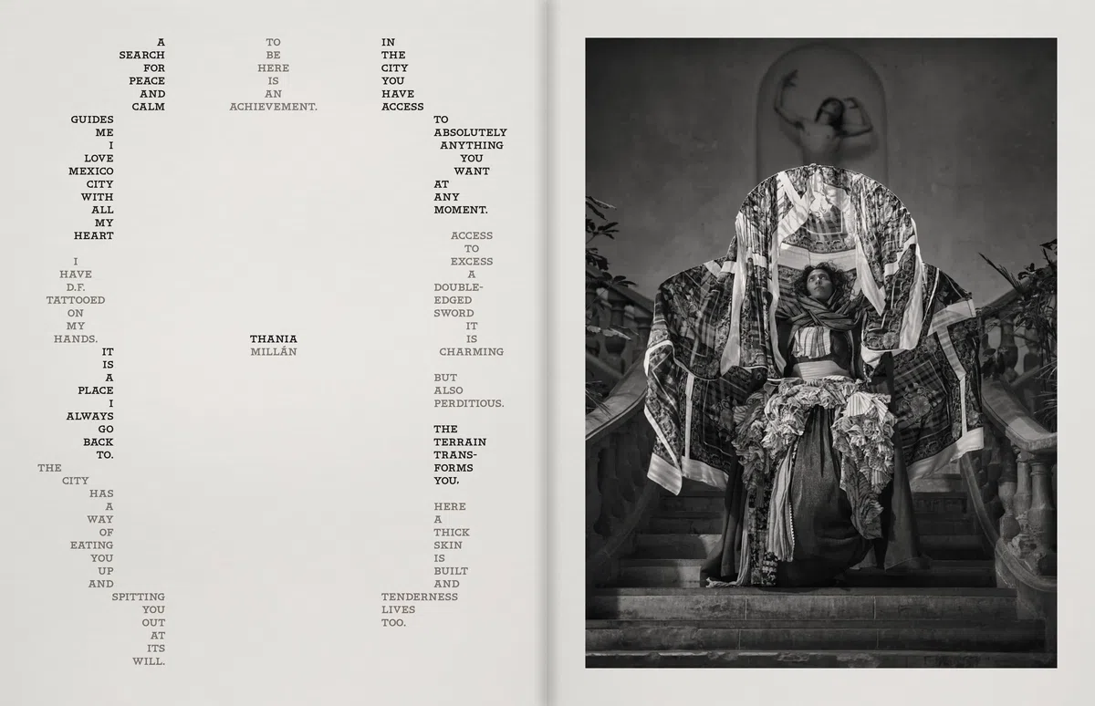 Pieter Henket: Birds of Mexico City