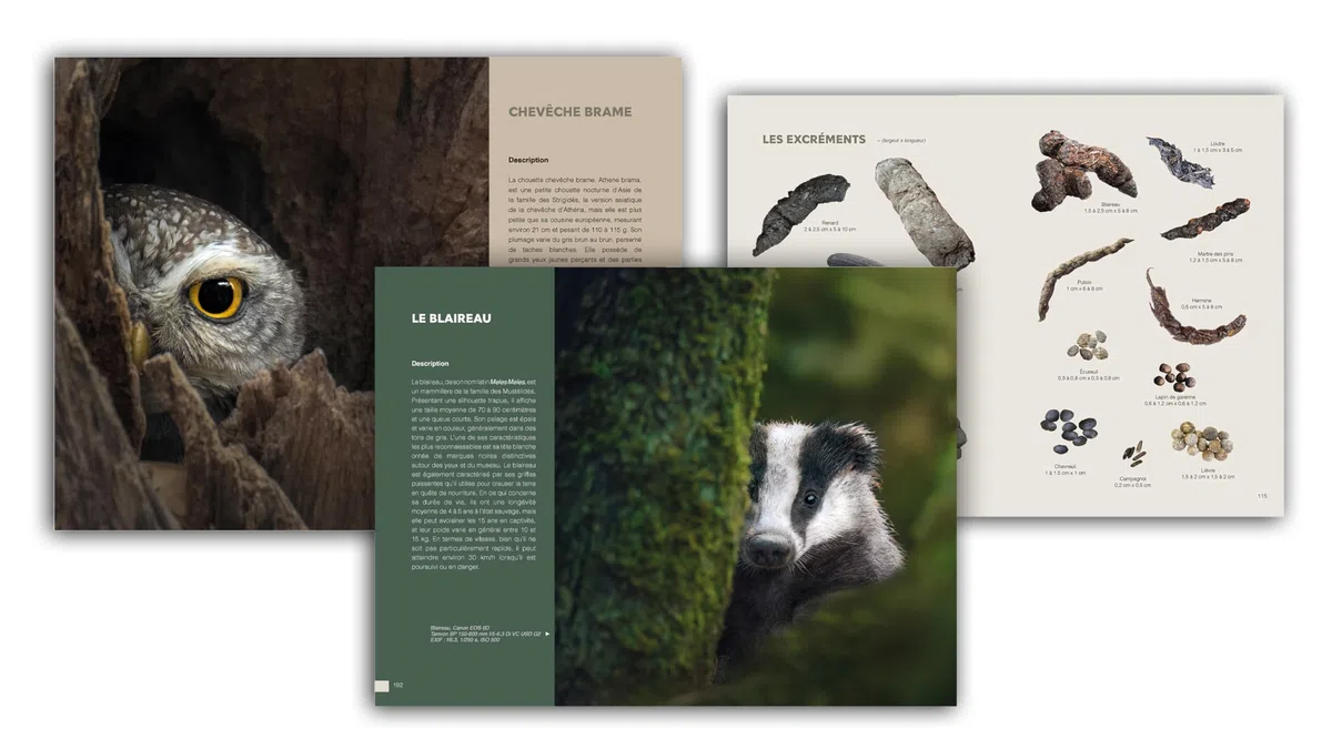 L'art de la photo animalière: Guide technique et astuces