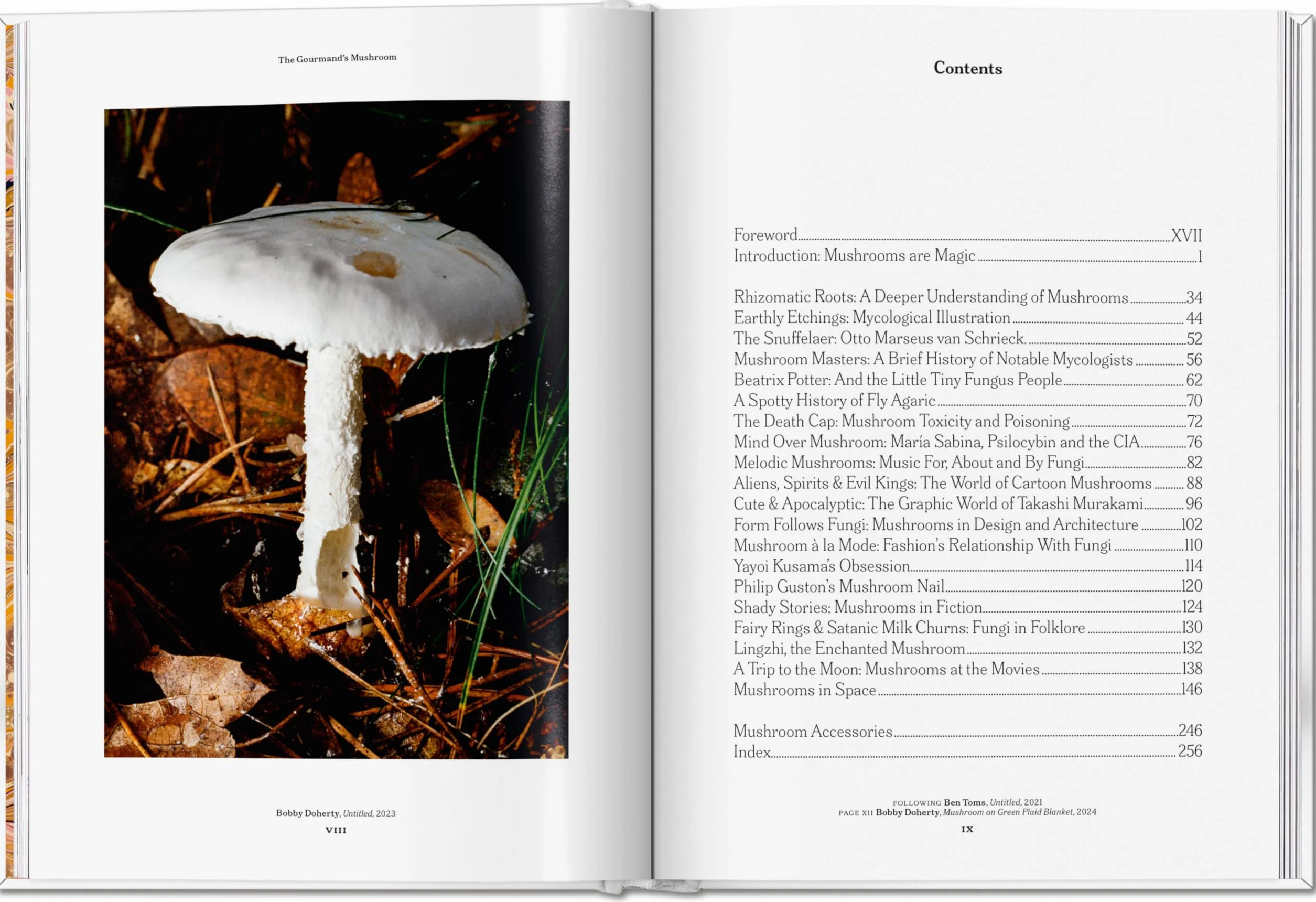 The Gourmand's Mushroom. A Collection of Stories & Recipes