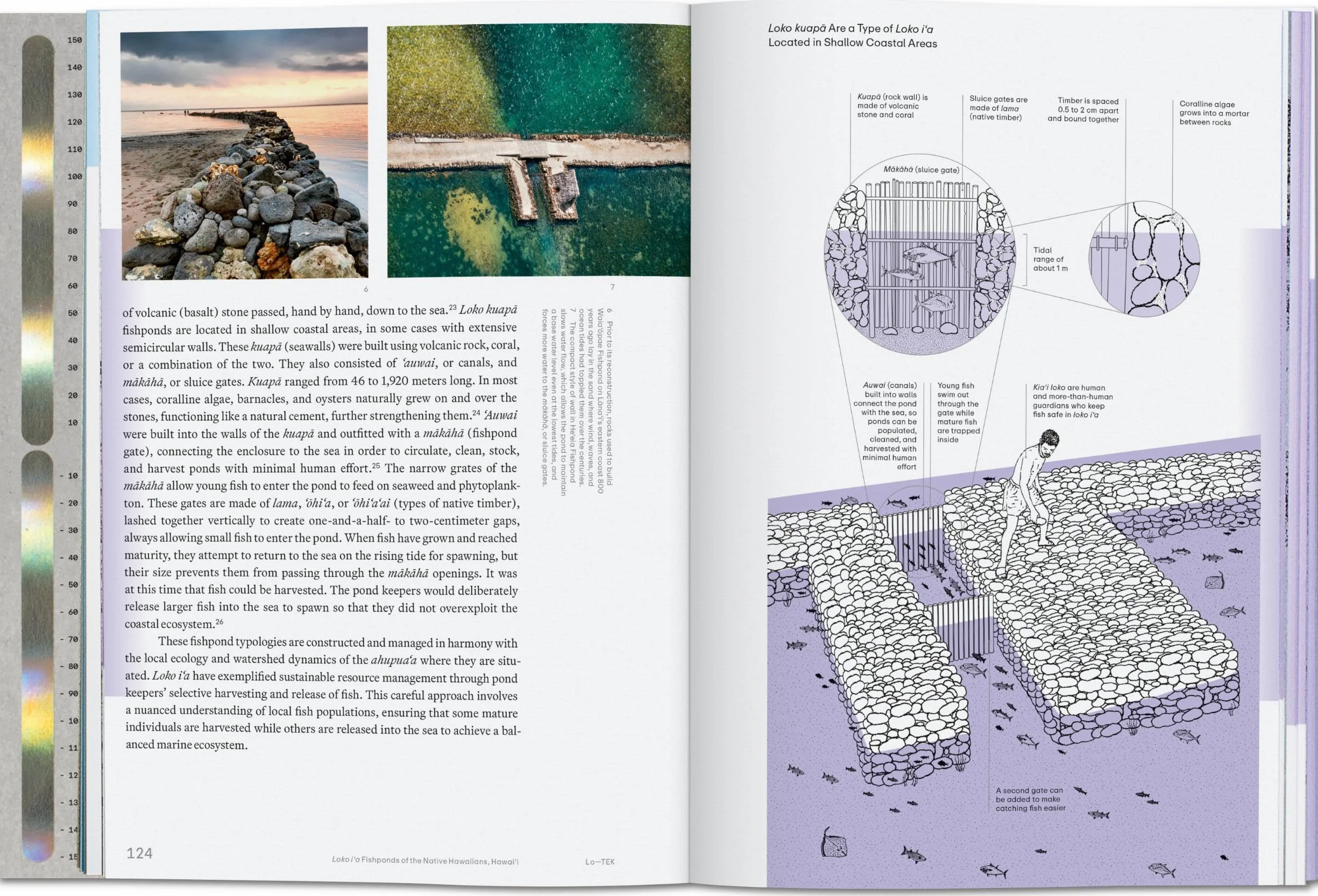 Julia Watson. Lo―TEK. Water. A Field Guide for TEKnology