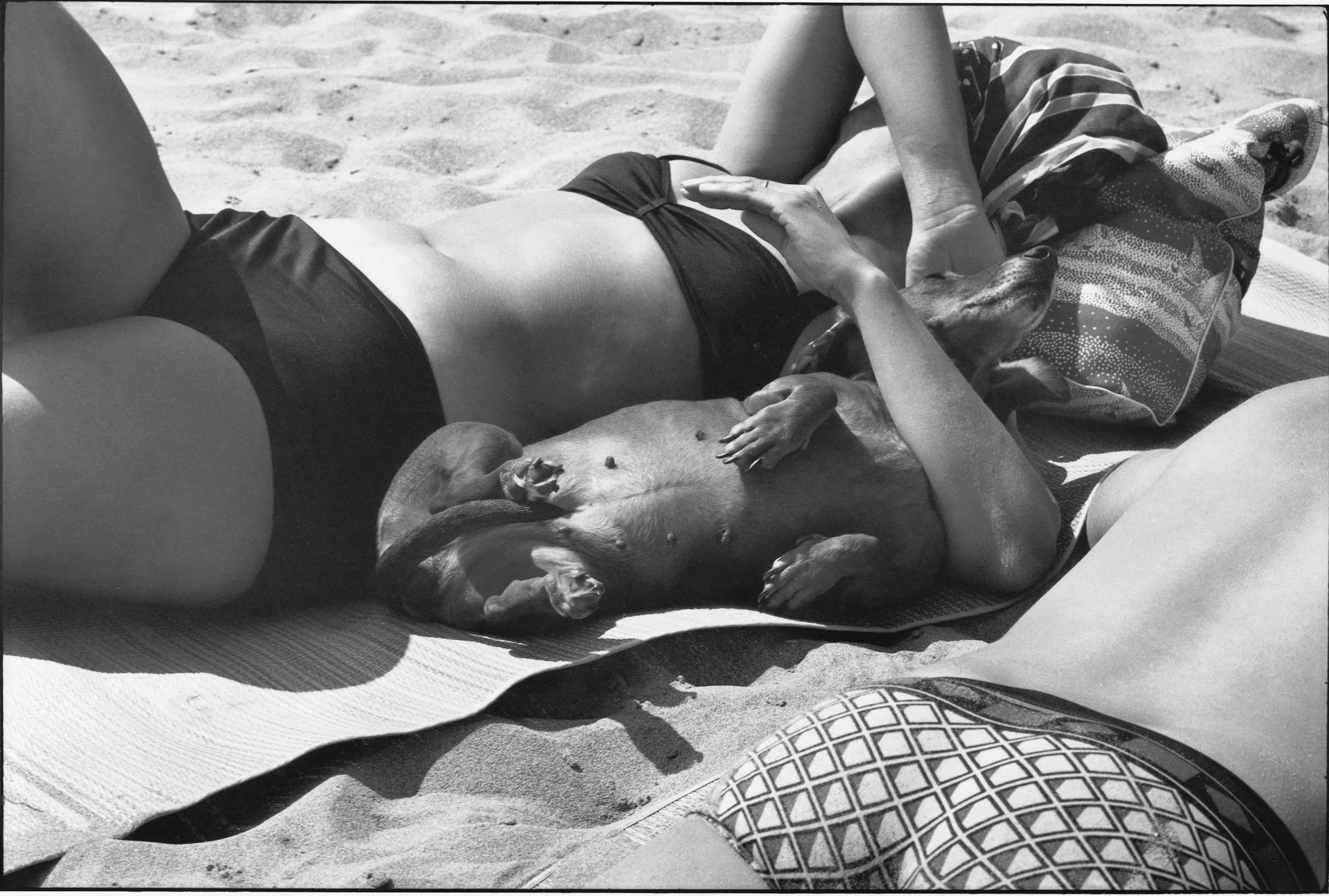 Elliott Erwitt Personal Best
