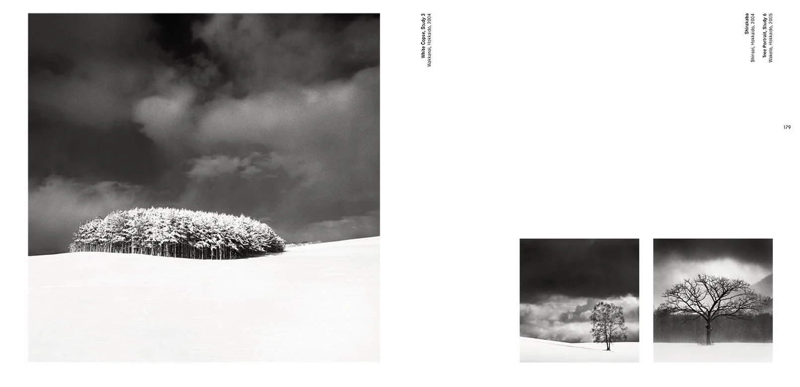 Michael Kenna Forms of Japan