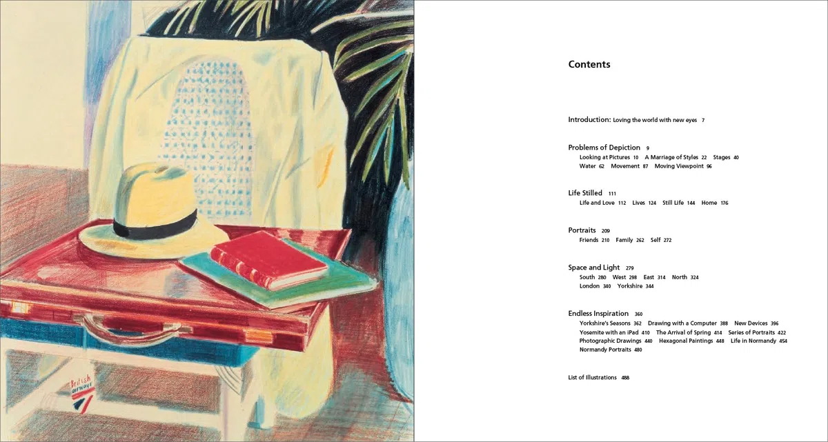 Hockney's Pictures