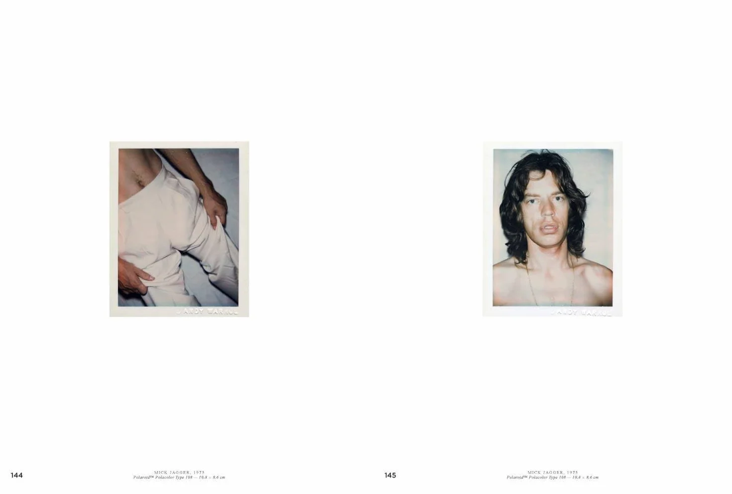 Andy Warhol: Velvet Rage and Beauty
