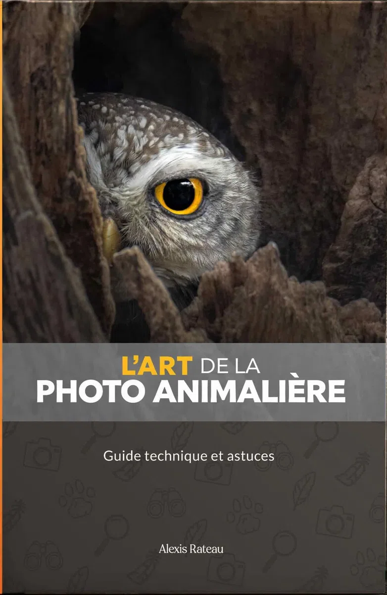 L'art de la photo animalière: Guide technique et astuces