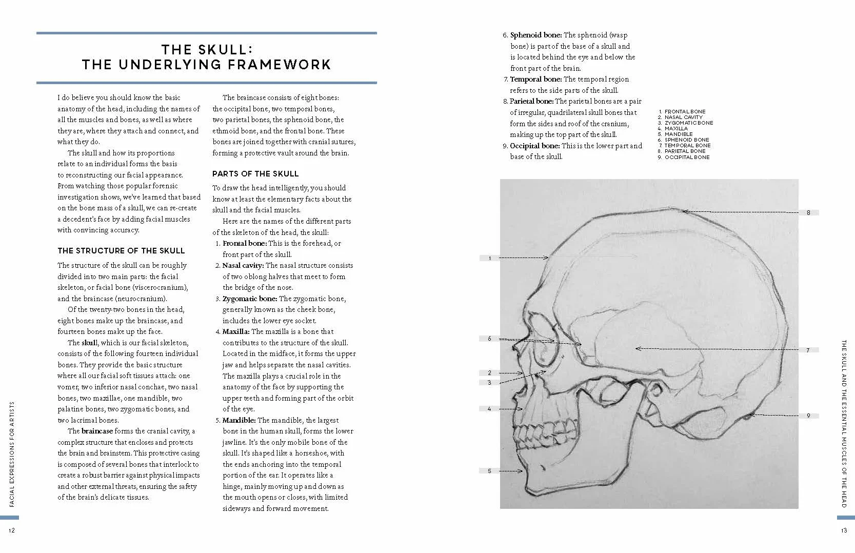 Facial Expressions for Artists: Techniques for Capturing Emotion and Mood in Portrait and Character Drawings
