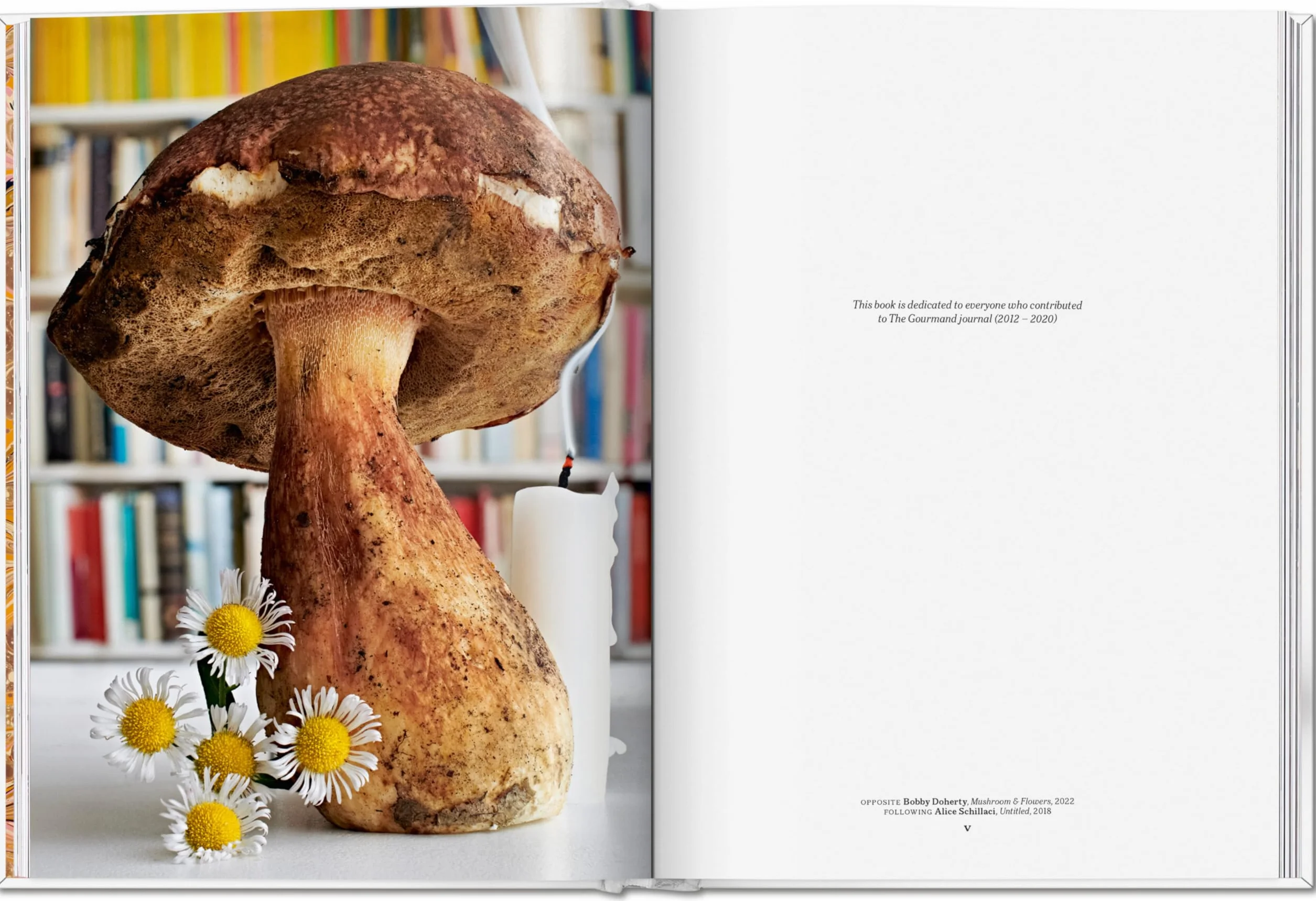 The Gourmand's Mushroom. A Collection of Stories & Recipes