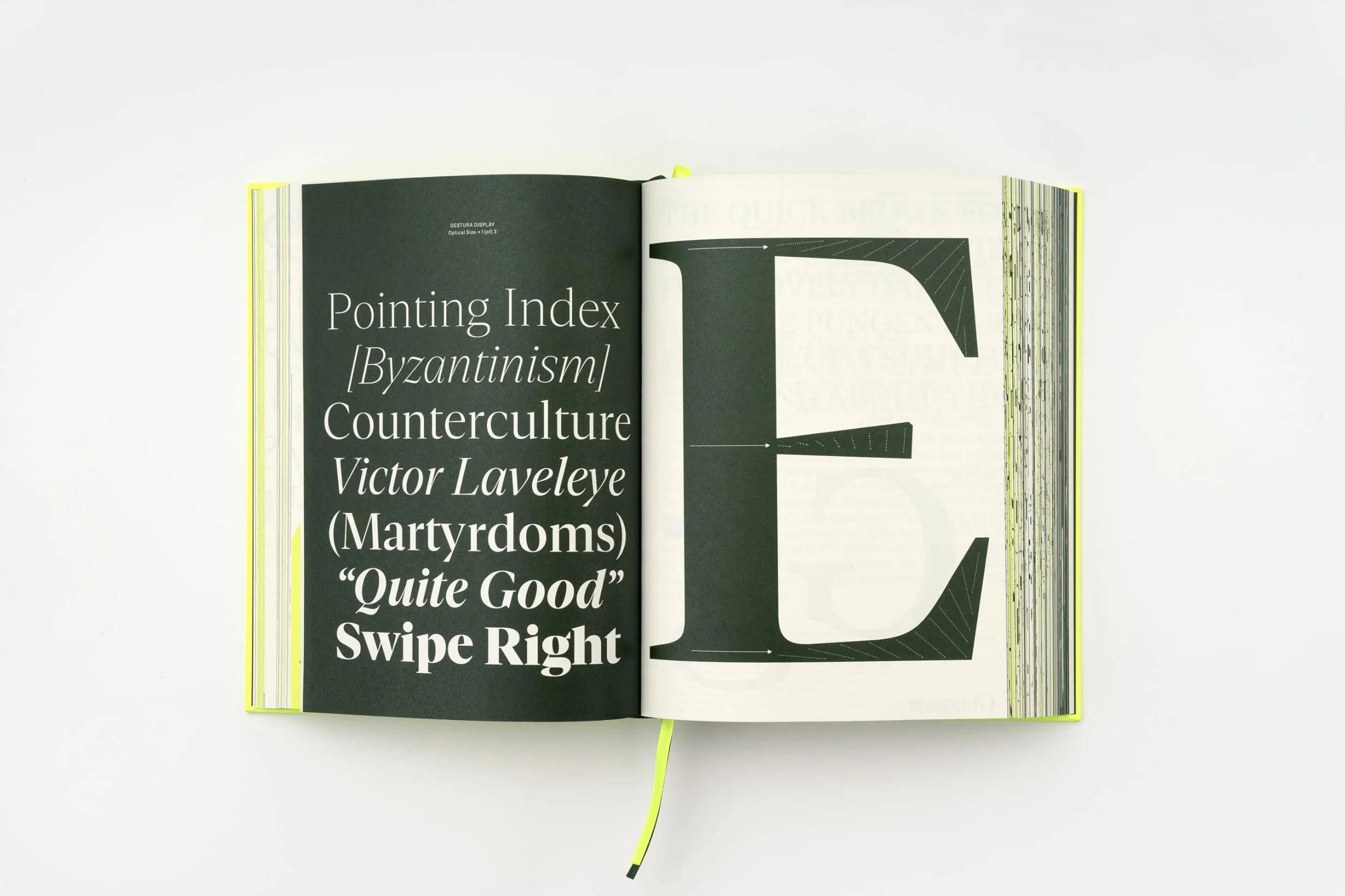 Serif In Use: Creative Typefaces and their Applications /anglais