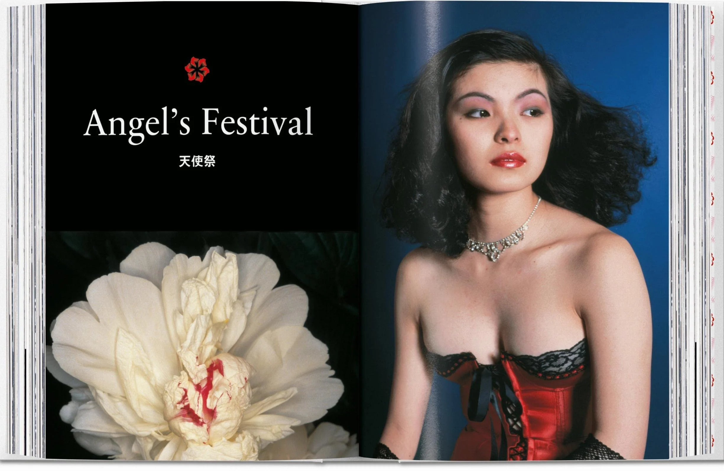 Araki. 45th Ed.