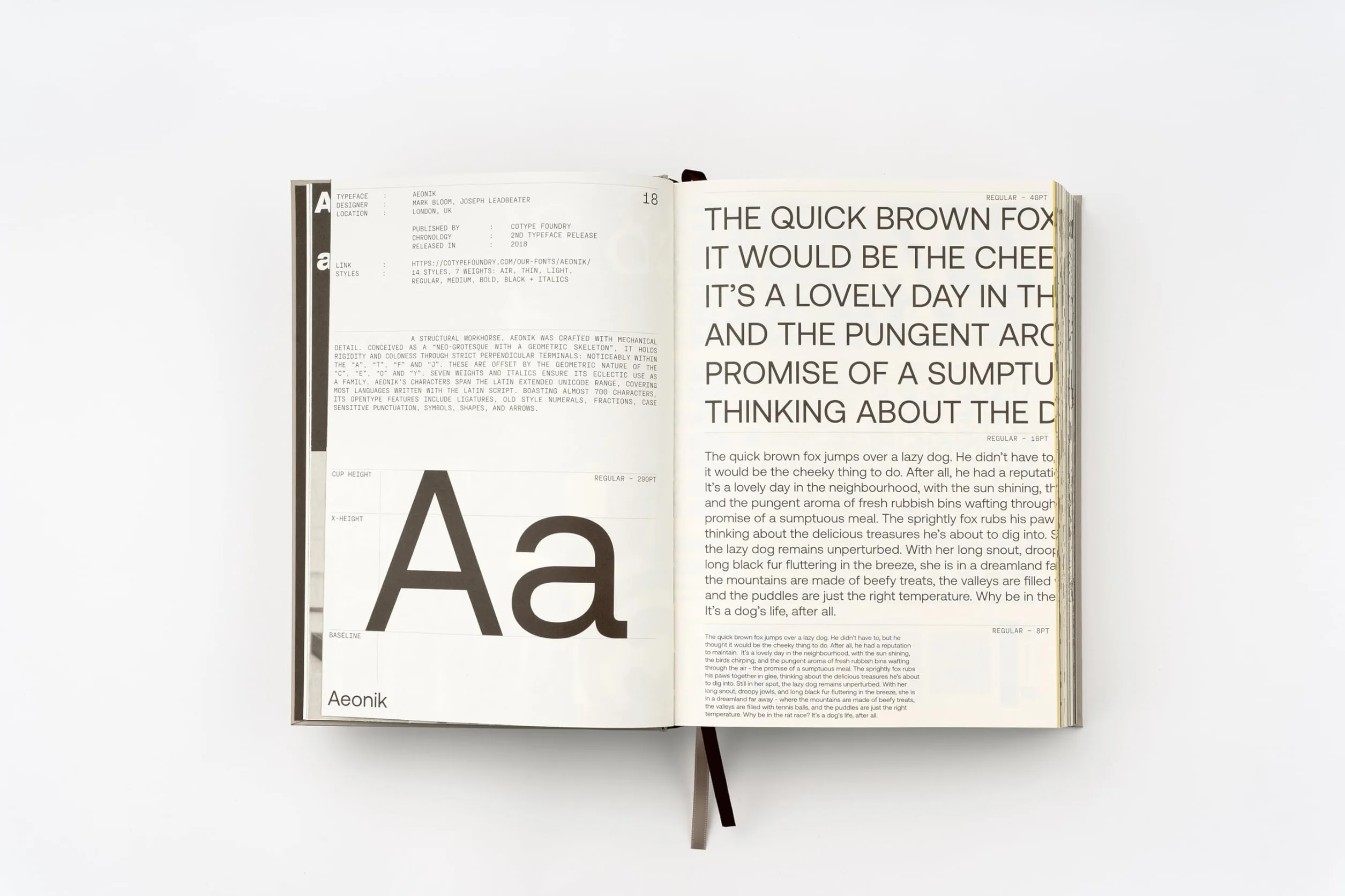 Sans In Use: Creative Typefaces and their Applications /anglais