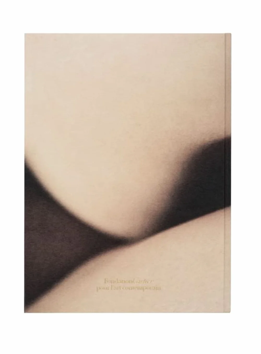 David Lynch, Digital Nudes