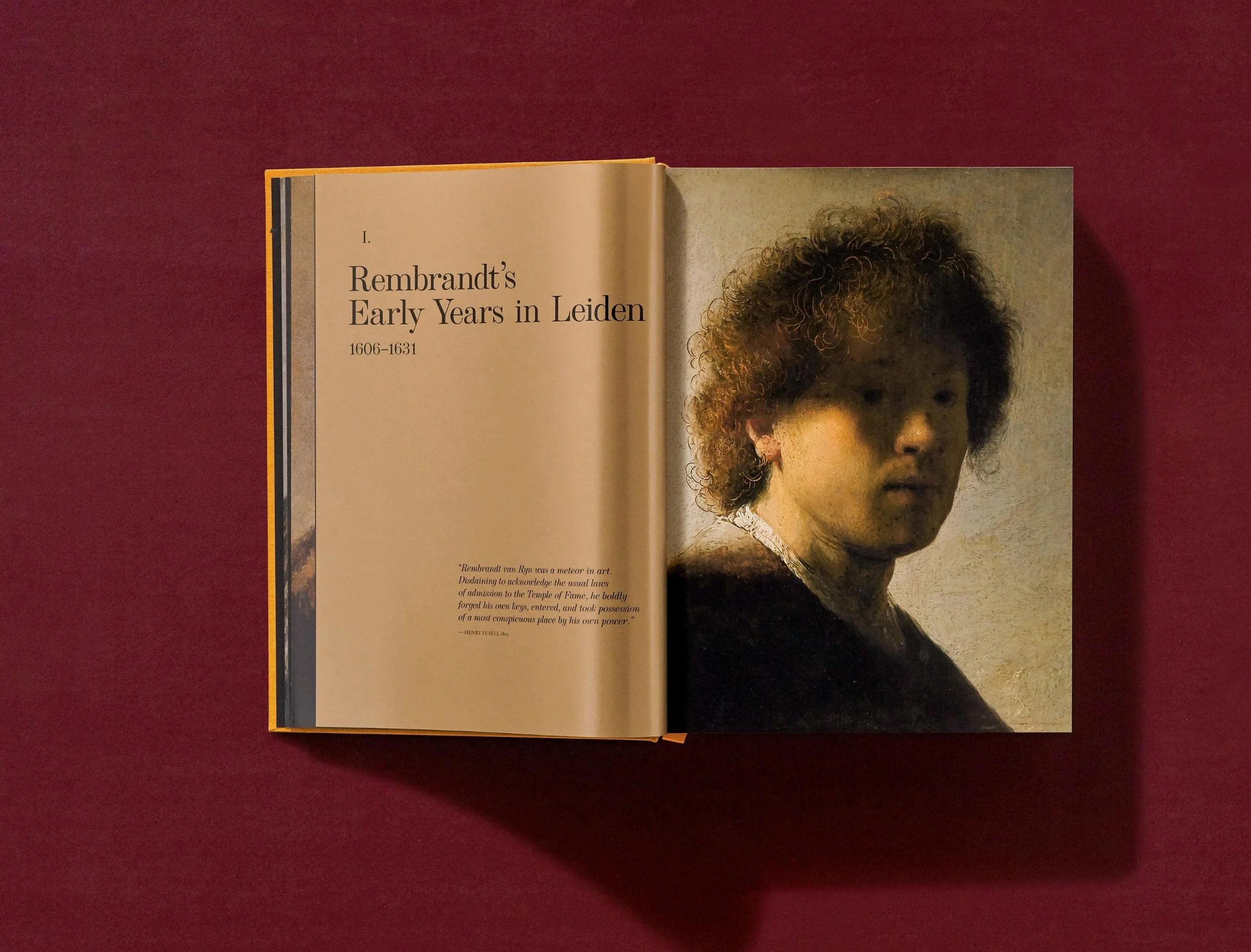 Rembrandt. Tout l'œuvre peint